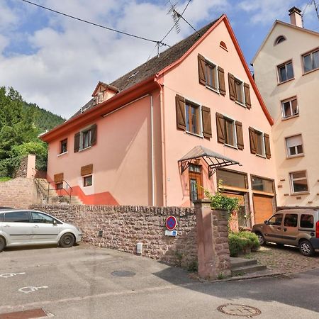 Studio Des 3 Chateaux Husseren-les-Châteaux Exterior foto